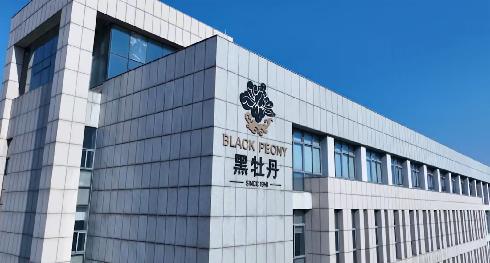 江苏黑牡丹集团